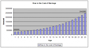 Rise in the Cost of Marriage 300x162 Rise in the Cost of Marriage